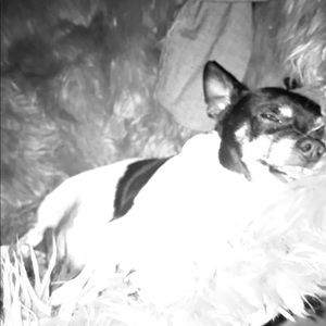 Meet your Posher, Britney